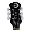 Luna 6 String Banjo - banjo 6cio strunowe