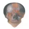 HotPicks LP24 Flame Skull kostka gitarowa