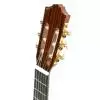 Stagg C747SD gitara klasyczna Stagg C747SD gitara klasyczna