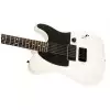 Fender Jim Root Telecaster Laurel Fingerboard, Flat White gitara elektryczna