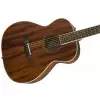 Fender PM-TE Travel, Ovangkol Fingerboard, All-Mahogany w/case gitara elektroakustyczna