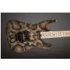 Charvel Warren DeMartini USA Signature Snake, Maple Fingerboard, Snakeskin gitara elektryczna