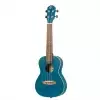 Ortega Earth Series RUOCEAN ukulele koncertowe