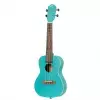 Ortega Earth Series RULAGOON ukulele koncertowe