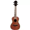 Fzone FZU-05S 21 Inch ukulele sopranowe - WYPRZEDA