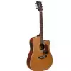 Richwood RD17 CE gitara elektroakustyczna �wierk natural