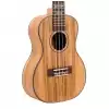 Canto DUC450 ukulele koncertowe + pokrowiec