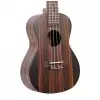 Canto DUC460 ukulele koncertowe + pokrowiec