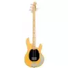 Sterling RAY 24 CA (BSC) gitara basowa