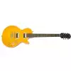 Epiphone Slash AFD Les Paul Performance Pack gitara elektryczna zestaw