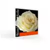 Pirastro Wondertone Solo z A stalow - struny skrzypcowe komplet 4/4