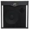 Peavey Tour 115 kolumna basowa