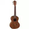 Baton Rouge UR21T ukulele tenorowe