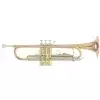 Roy Benson (RB701075) Bb-Trompete TR-202G
