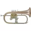 Roy Benson (RB701095) Flugelhorn w stroju Bb FH-302G