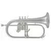 Roy Benson (RB701097) Flugelhorn w stroju Bb FH-302S