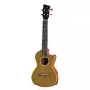 VGS (VG512602) Tenor Elektro-akustyczne Ukulele Manoa Roadie R-TE-CE-GOLD E-A Tenor VGS (VG512602) Tenor Elektro-akustyczne Ukulele Manoa Roadie R-TE-CE-GOLD E-A Tenor