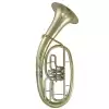 Roy Benson (RB701450) Bb-Tenorhorn TH-202