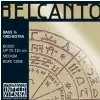 Thomastik (644658) struny do kontrabasu Belcanto Rope Core - E 3/4 - BC64