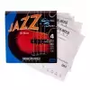 Thomastik JF324 (682705) struny do gitary basowej Jazz Bass Seria Nickel Flat Wound Roundcore Komplet 4-strunowy Thomastik JF324 (682705) struny do gitary basowej Jazz Bass Seria Nickel Flat Wound Roundcore Komplet 4-strunowy