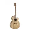 Randon RGI PW4CE gitara elektroakustyczna Randon RGI PW4CE gitara elektroakustyczna