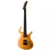 Parker Fly Artist Butterscotch RFA V gitara elektryczna