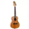 Ortega Horizon Series RUHZ-MM ukulele koncertowe