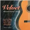 Medina Artigas 950 Velvet Entrochado struny do gitary klasycznej 