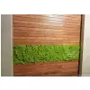 Green Acoustics GA01 PRO panel akustyczny z mchu 100x50cm Green Acoustics GA01 PRO panel akustyczny z mchu 100x50cm