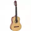 Ortega RSTC5M gitara klasyczna