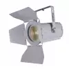 Briteq BT-Theatre 100EC White - reflektor teatralny LED 100W, manualny zoom 10-50st.