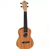 Ortega RFU11S ukulele koncertowe