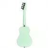 Ortega Horizon Series RUHZ-SFG ukulele koncertowe - WYPRZEDA