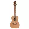 Ortega RUTI CC L ukulele koncertowe, leworczne