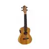 Ortega RFU11ZE ukulele koncertowe elektroakustyczne
