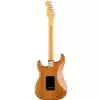 Fender American Professional II Stratocaster Maple Fingerboard, Roasted Pine gitara elektryczna