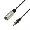 Adam Hall Cables K3 BWM 0300 - mini TRS / XLRm, 3 m