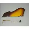 Ibanez 4PG12A0007 pickguard Arctcore Ibanez 4PG12A0007 pickguard Arctcore