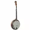 Ortega OBJ550W-SNT Falcon Series Banjo 5-Str.