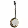 Ortega OBJ950-FMA Falcon Series Banjo 5-Str.