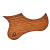 Ortega OWPSC-WN drewniany pickguard do ukulele