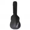 Takamine GCWN hardcase