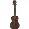 Gretsch G9110 ukulele koncertowe z pokrowcem