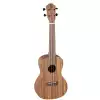 Baton Rouge VX1/CE-N ukulele koncertowe elektroakustyczne Baton Rouge VX1/CE-N ukulele koncertowe elektroakustyczne