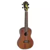 Baton Rouge UV41 C NMH ukulele koncertowe