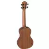 Baton Rouge UV41 C NMH ukulele koncertowe