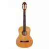 Ortega R122G-3/4 Gloss gitara klasyczna 3/4
