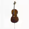 Stentor SR-1102-1/4 Student I Cello Set 1/4 - wiolonczela 1/4