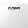 Evans B16UV1 nacig perkusyjny 16″, powlekany