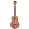 Kala Teak T ukulele tenorowe